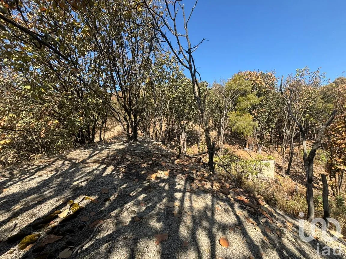 Terreno en Venta en Los Robles, Zapopan, Jalisco | NEX-293586 | iad México | Foto 15 de 17