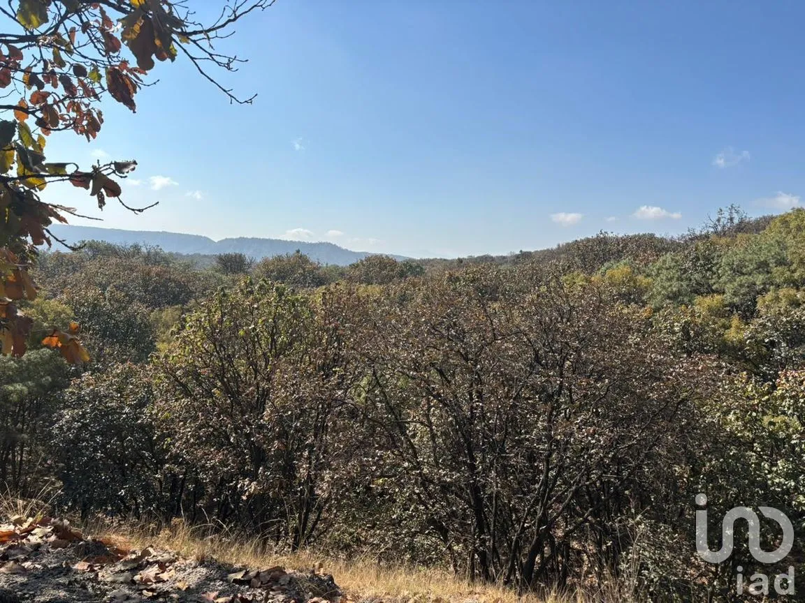 Terreno en Venta en Los Robles, Zapopan, Jalisco | NEX-293586 | iad México | Foto 16 de 17