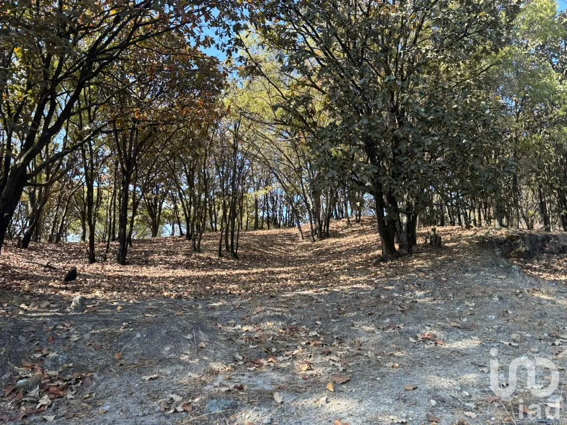 Terreno en Venta en Los Robles, Zapopan, Jalisco | NEX-293586 | iad México | Foto 5 de 17