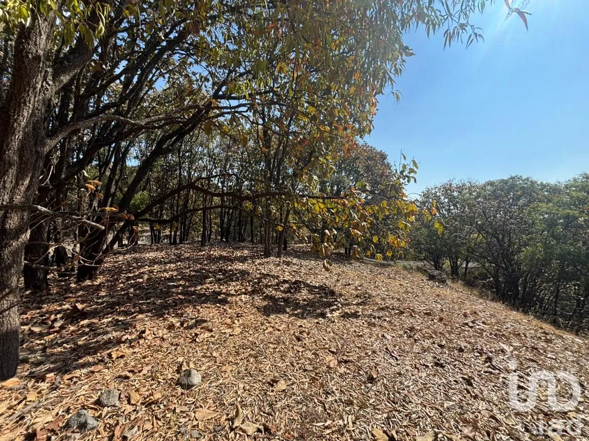 Terreno en Venta en Los Robles, Zapopan, Jalisco | NEX-293586 | iad México | Foto 6 de 17