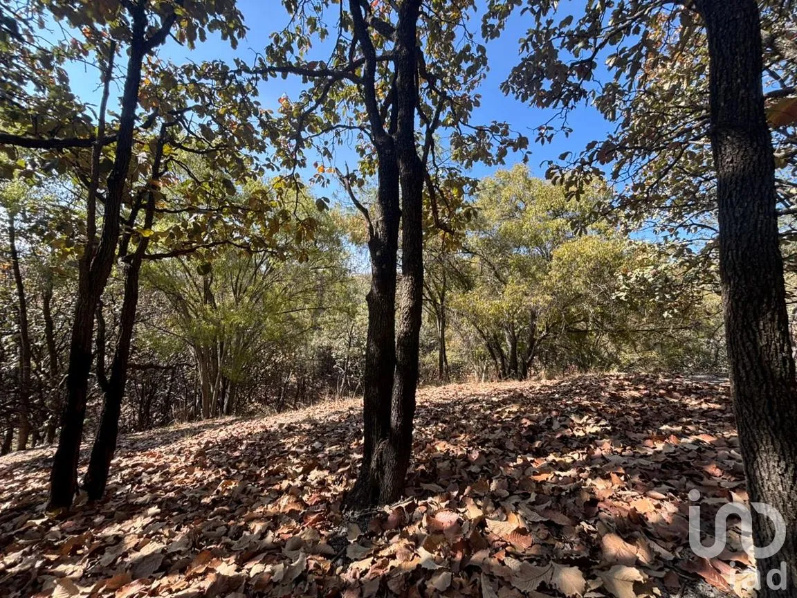Terreno en Venta en Los Robles, Zapopan, Jalisco | NEX-293586 | iad México | Foto 7 de 17