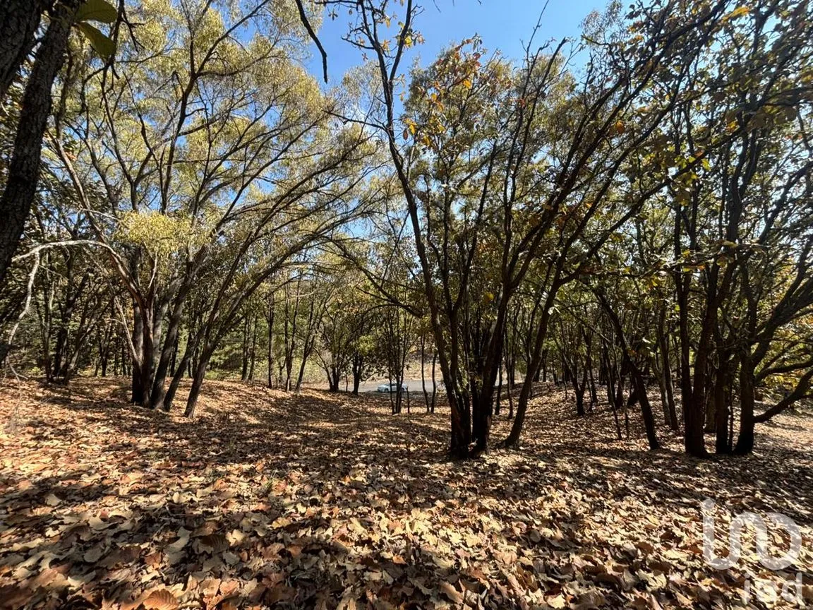 Terreno en Venta en Los Robles, Zapopan, Jalisco | NEX-293586 | iad México | Foto 9 de 17