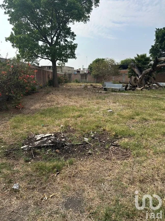 Terreno en Venta en Sendero Real, Tlajomulco de Zúñiga, Jalisco | NEX-295928 | iad México | Foto 4 de 10