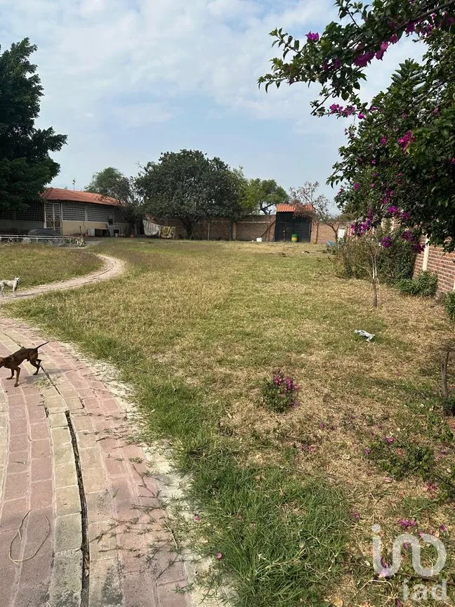 Terreno en Venta en Sendero Real, Tlajomulco de Zúñiga, Jalisco | NEX-295928 | iad México | Foto 5 de 10