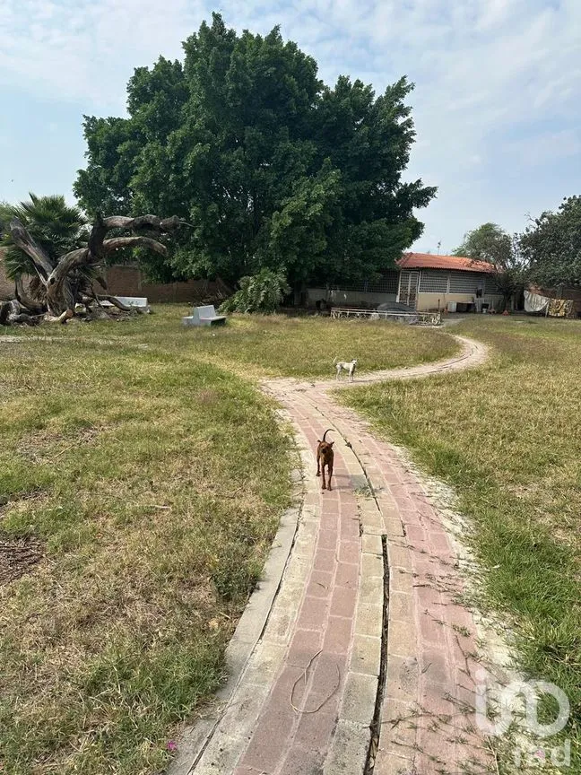 Terreno en Venta en Sendero Real, Tlajomulco de Zúñiga, Jalisco | NEX-295928 | iad México | Foto 8 de 10