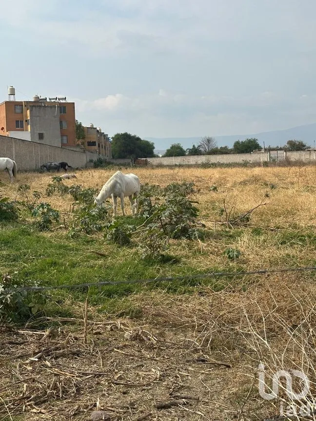 Terreno en Venta en Sendero Real, Tlajomulco de Zúñiga, Jalisco | NEX-295928 | iad México | Foto 1 de 10