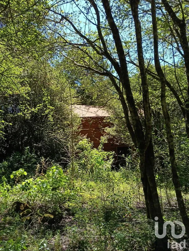 Terreno en Venta en Corral de Piedra, San Cristóbal de las Casas, Chiapas | NEX-219654 | iad México | Foto 38 de 45