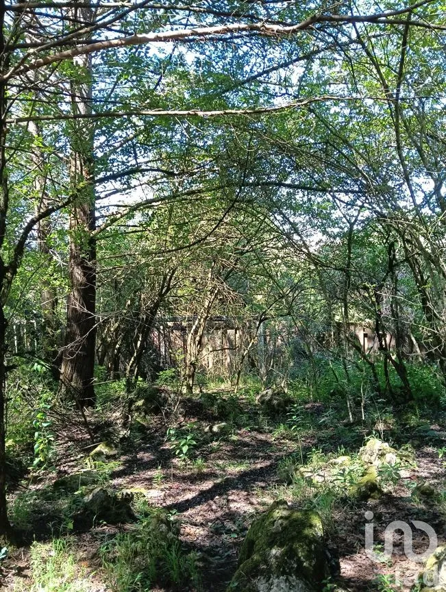 Terreno en Venta en Corral de Piedra, San Cristóbal de las Casas, Chiapas | NEX-219654 | iad México | Foto 40 de 45