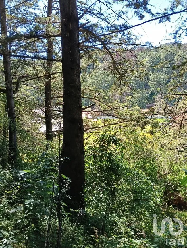 Terreno en Venta en Corral de Piedra, San Cristóbal de las Casas, Chiapas | NEX-219654 | iad México | Foto 42 de 45