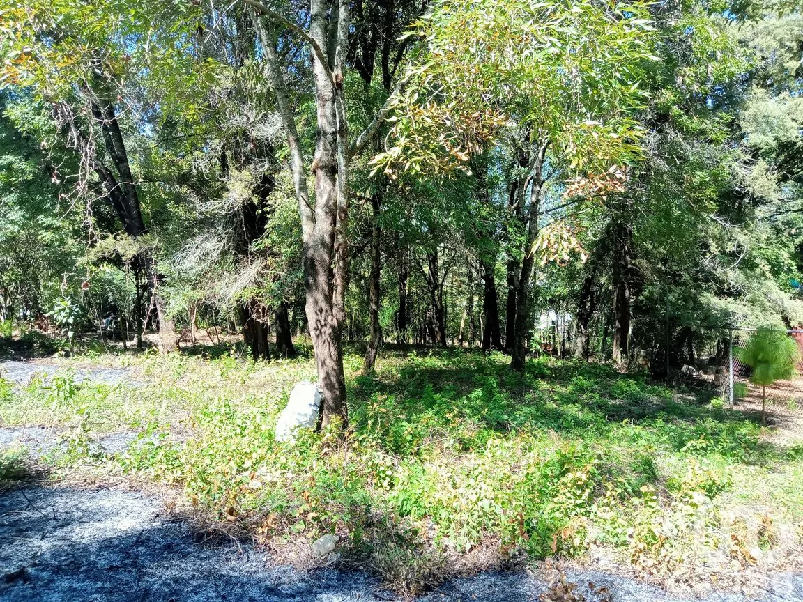 Terreno en Venta en Ramajal, Teopisca, Chiapas | NEX-221226 | iad México | Foto 2 de 4