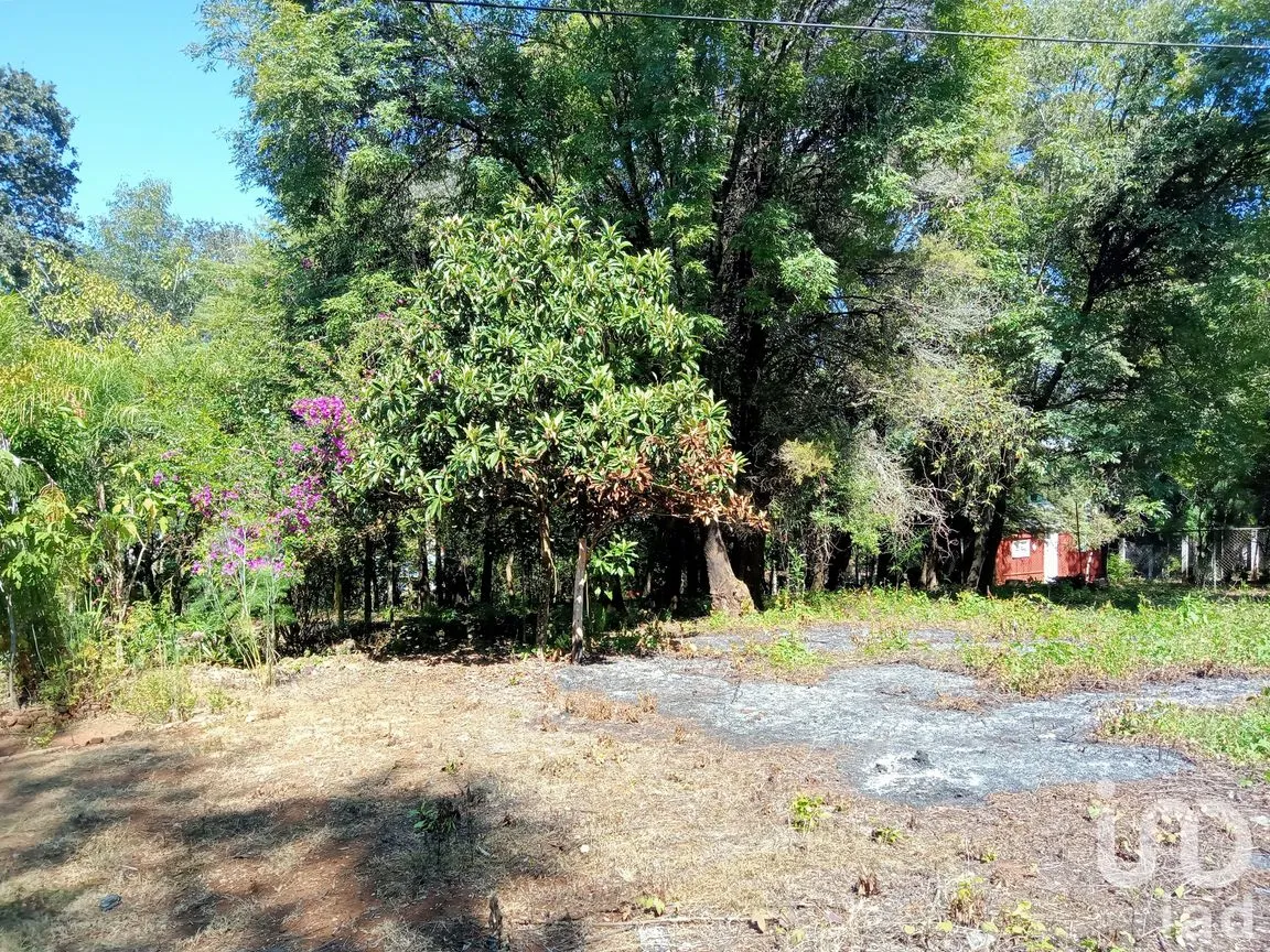 Terreno en Venta en Ramajal, Teopisca, Chiapas | NEX-221226 | iad México | Foto 3 de 4