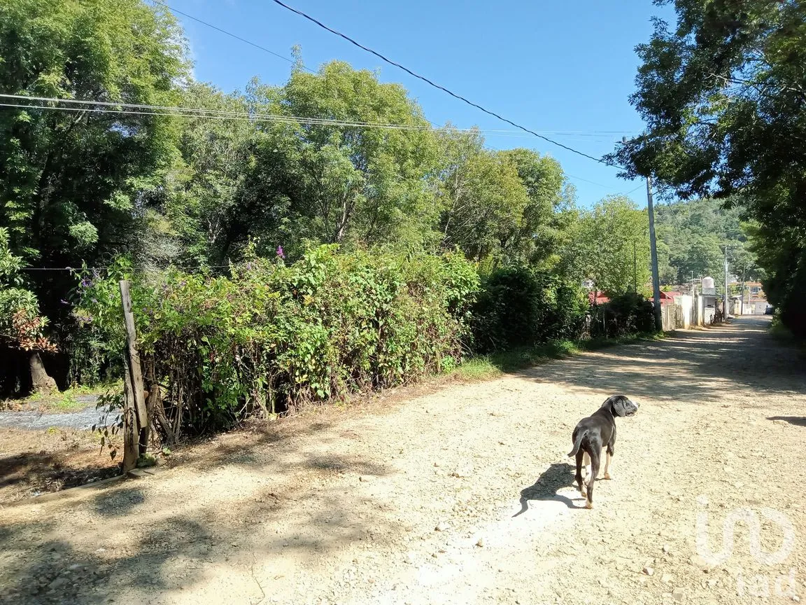 Terreno en Venta en Ramajal, Teopisca, Chiapas | NEX-221226 | iad México | Foto 4 de 4