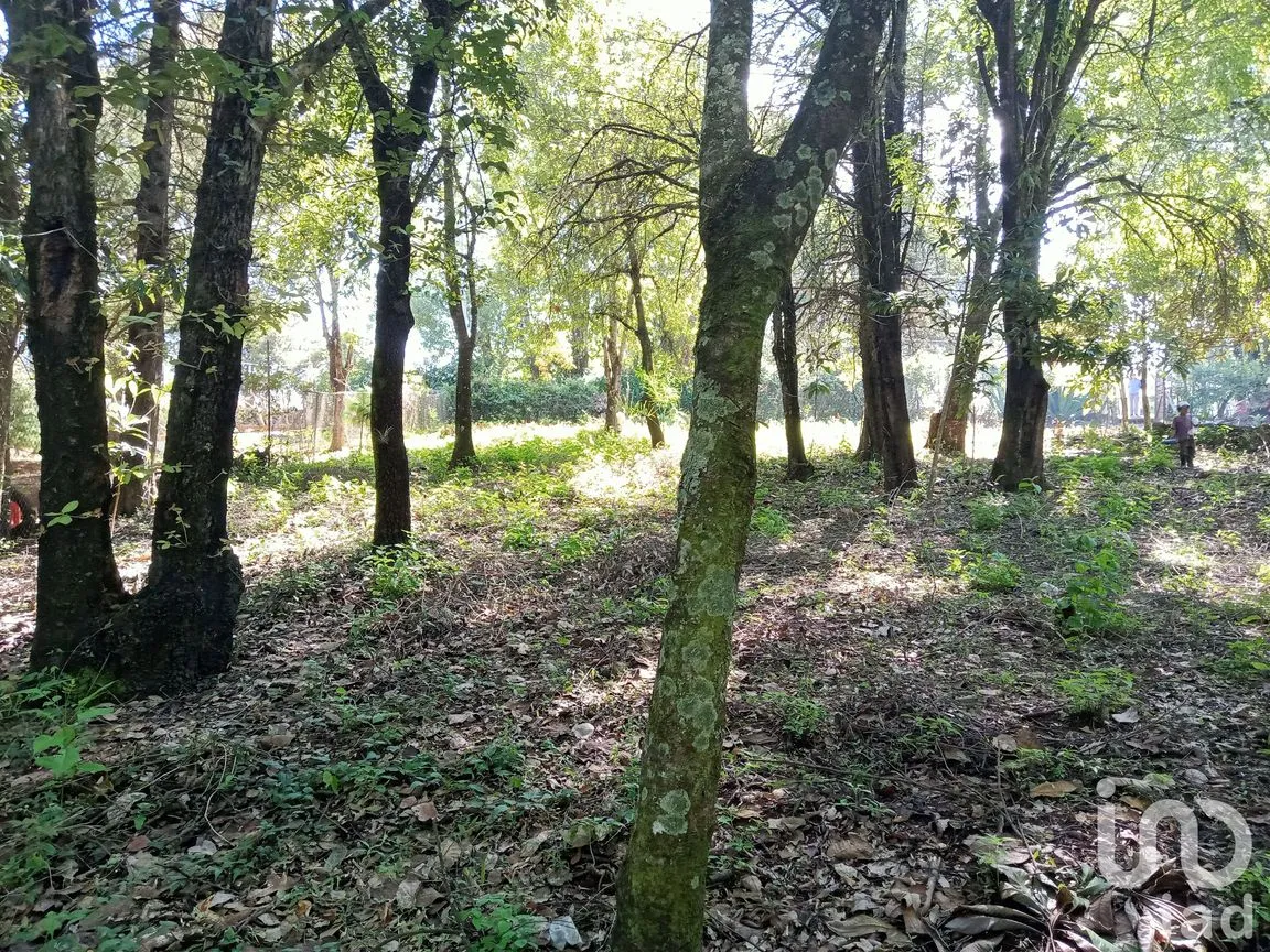 Terreno en Venta en Ramajal, Teopisca, Chiapas | NEX-221226 | iad México | Foto 1 de 4
