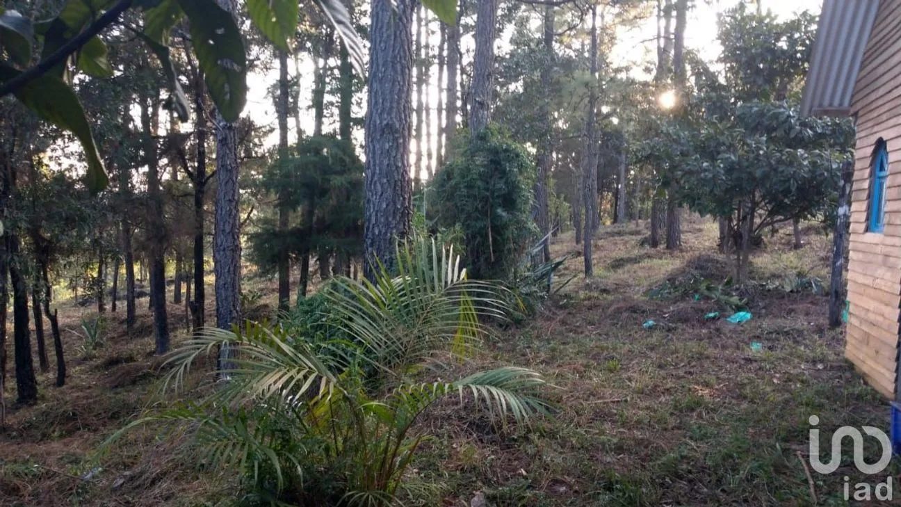 Terreno en Venta en Chijiltec (San Isidro), Teopisca, Chiapas | NEX-221864 | iad México | Foto 2 de 6