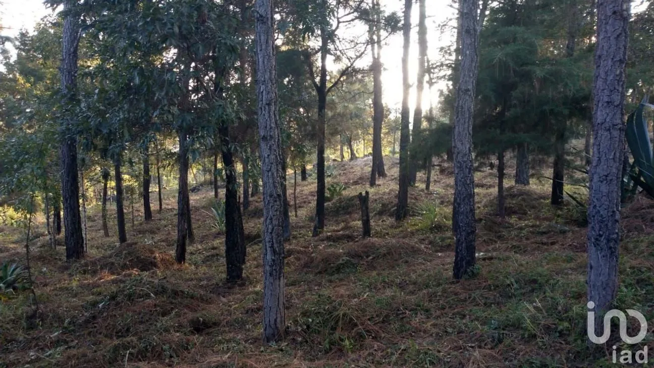 Terreno en Venta en Chijiltec (San Isidro), Teopisca, Chiapas | NEX-221864 | iad México | Foto 4 de 6