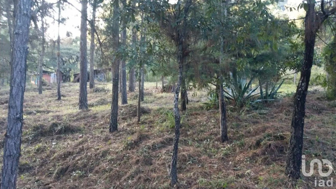 Terreno en Venta en Chijiltec (San Isidro), Teopisca, Chiapas | NEX-221864 | iad México | Foto 5 de 6