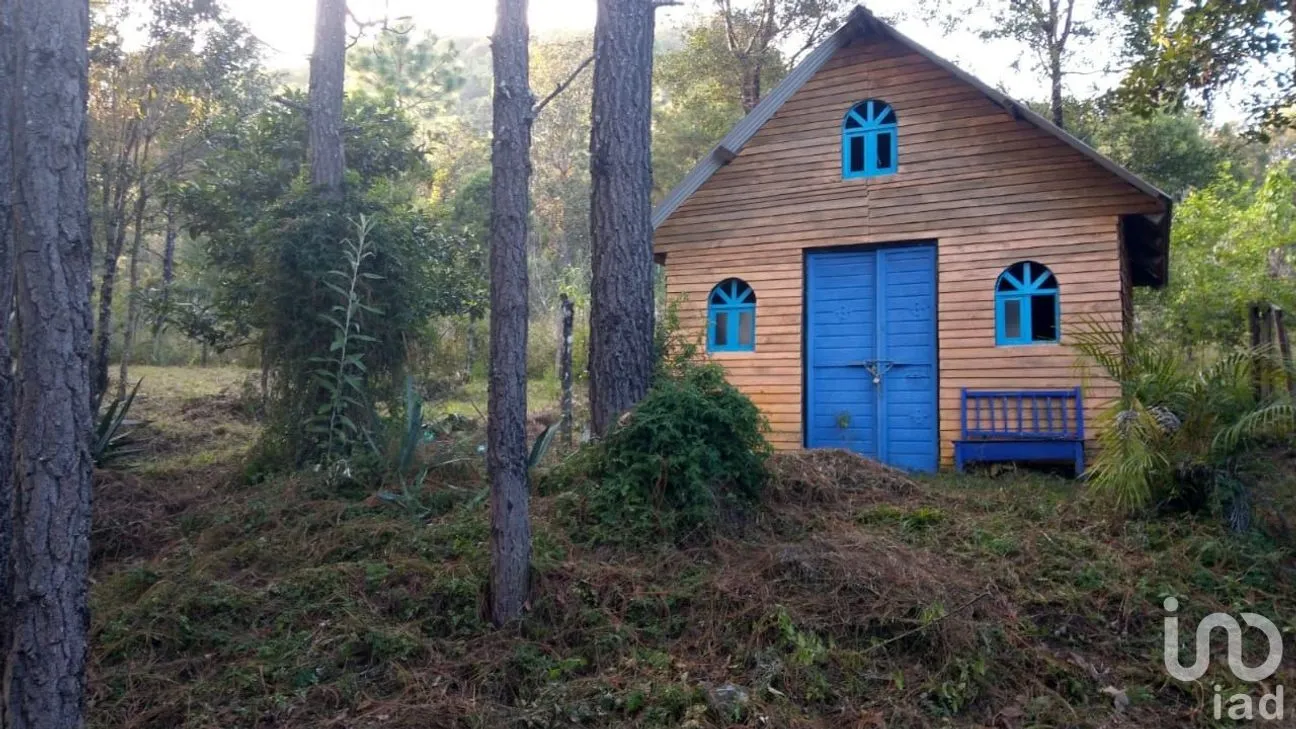Terreno en Venta en Chijiltec (San Isidro), Teopisca, Chiapas | NEX-221864 | iad México | Foto 1 de 6