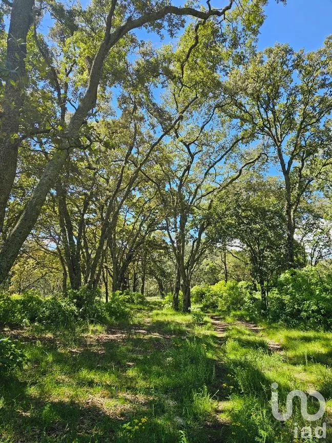 Terreno en Venta en Aldama, Jilotepec, México | NEX-221774 | iad México | Foto 1 de 1