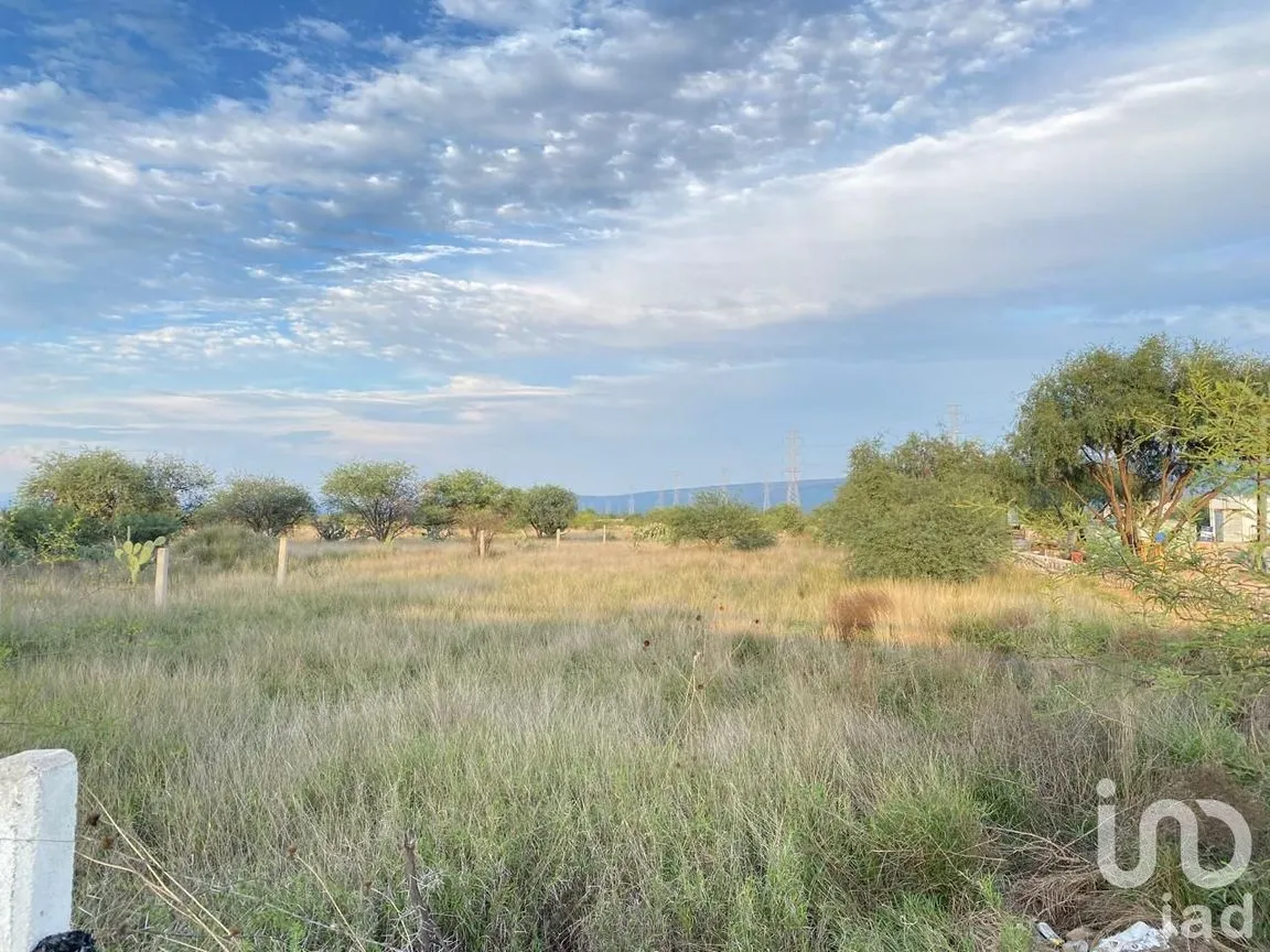 Terreno en Venta en Villa de Reyes Centro, Villa de Reyes, San Luis Potosí | NEX-253766 | iad México | Foto 8 de 12