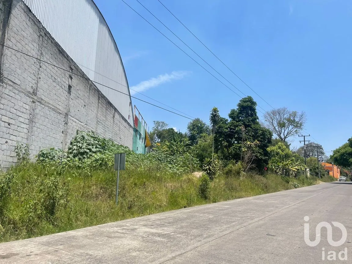 Terreno en Renta en La Florida, Coatepec, Veracruz de Ignacio de la Llave | NEX-209807 | iad México | Foto 2 de 13