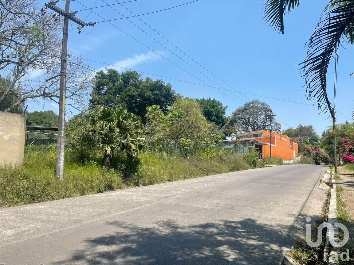Terreno en Renta en La Florida, Coatepec, Veracruz de Ignacio de la Llave | NEX-209807 | iad México | Foto 4 de 13