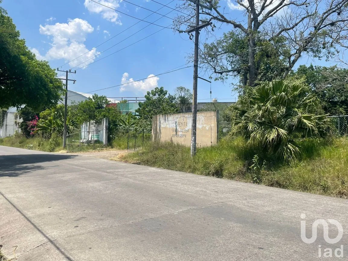Terreno en Renta en La Florida, Coatepec, Veracruz de Ignacio de la Llave | NEX-209807 | iad México | Foto 5 de 13