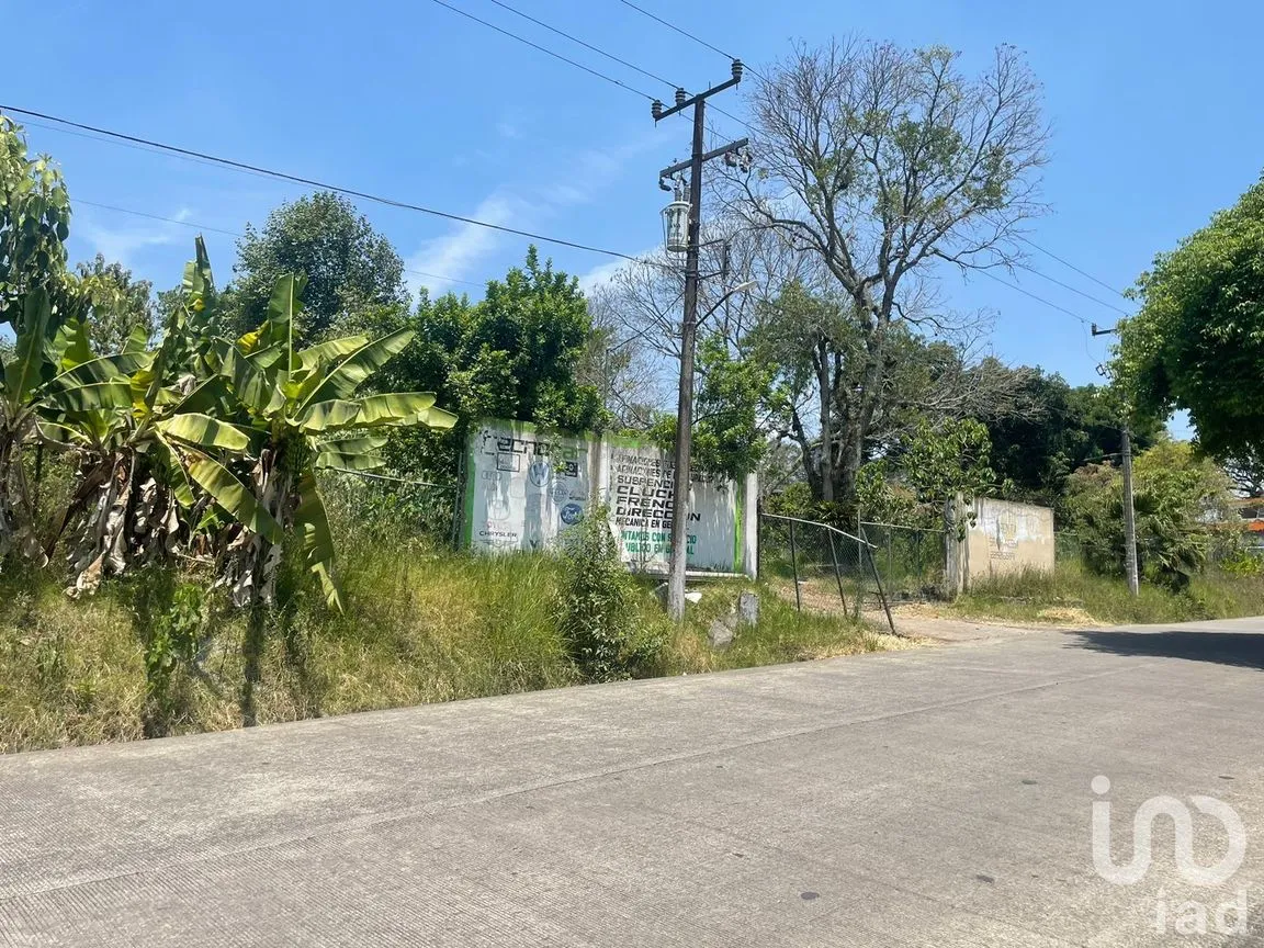 Terreno en Renta en La Florida, Coatepec, Veracruz de Ignacio de la Llave | NEX-209807 | iad México | Foto 6 de 13