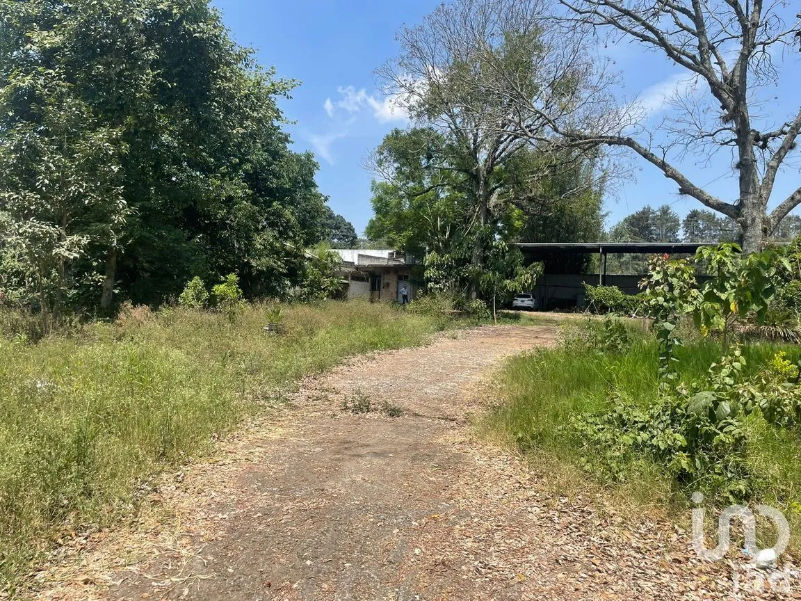 Terreno en Renta en La Florida, Coatepec, Veracruz de Ignacio de la Llave | NEX-209807 | iad México | Foto 7 de 13
