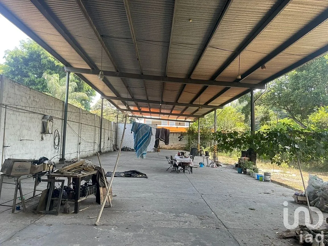 Terreno en Renta en La Florida, Coatepec, Veracruz de Ignacio de la Llave | NEX-209807 | iad México | Foto 8 de 13
