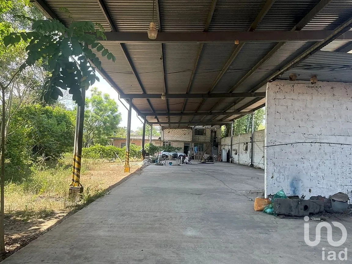 Terreno en Renta en La Florida, Coatepec, Veracruz de Ignacio de la Llave | NEX-209807 | iad México | Foto 9 de 13