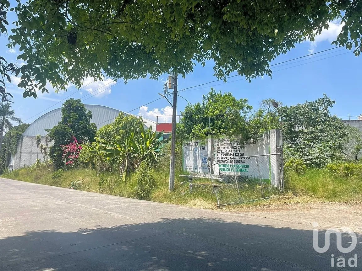 Terreno en Renta en La Florida, Coatepec, Veracruz de Ignacio de la Llave | NEX-209807 | iad México | Foto 1 de 13