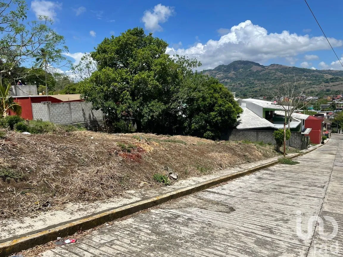 Terreno en Venta en Pénjamo, Santiago Tuxtla, Veracruz de Ignacio de la Llave | NEX-213970 | iad México | Foto 13 de 14
