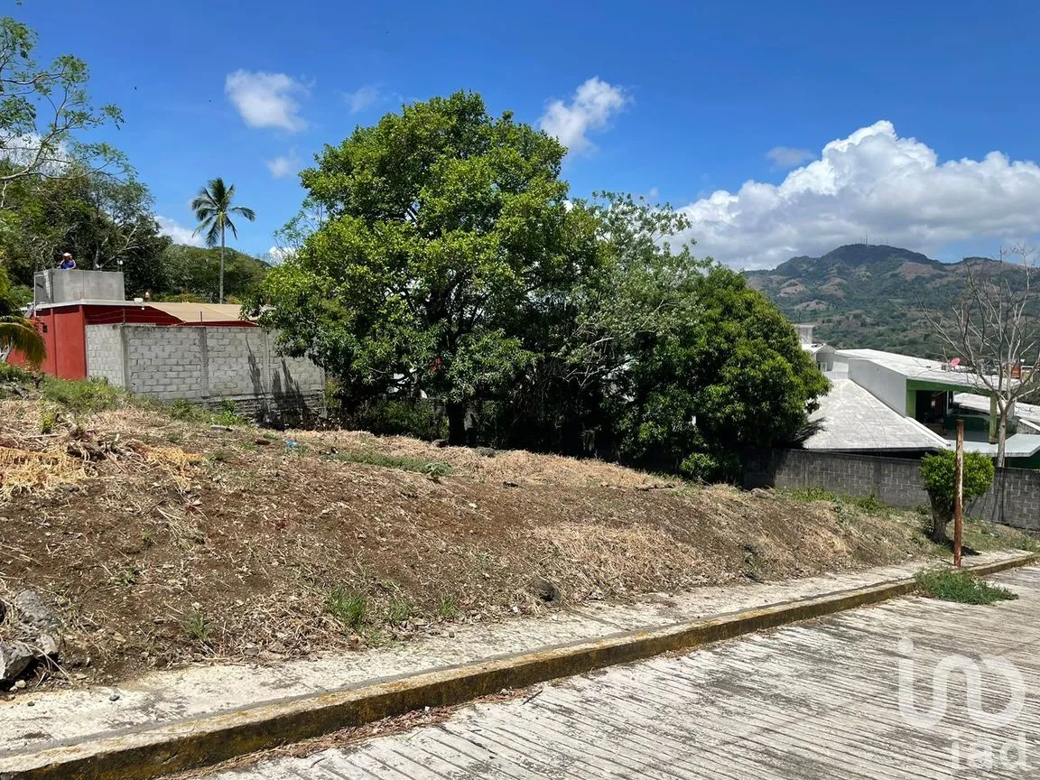 Terreno en Venta en Pénjamo, Santiago Tuxtla, Veracruz de Ignacio de la Llave | NEX-213970 | iad México | Foto 14 de 14