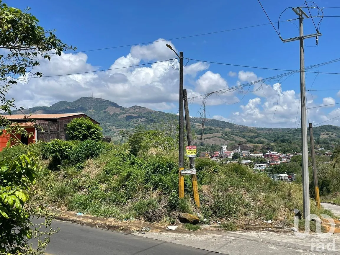 Terreno en Venta en Pénjamo, Santiago Tuxtla, Veracruz de Ignacio de la Llave | NEX-213970 | iad México | Foto 3 de 14