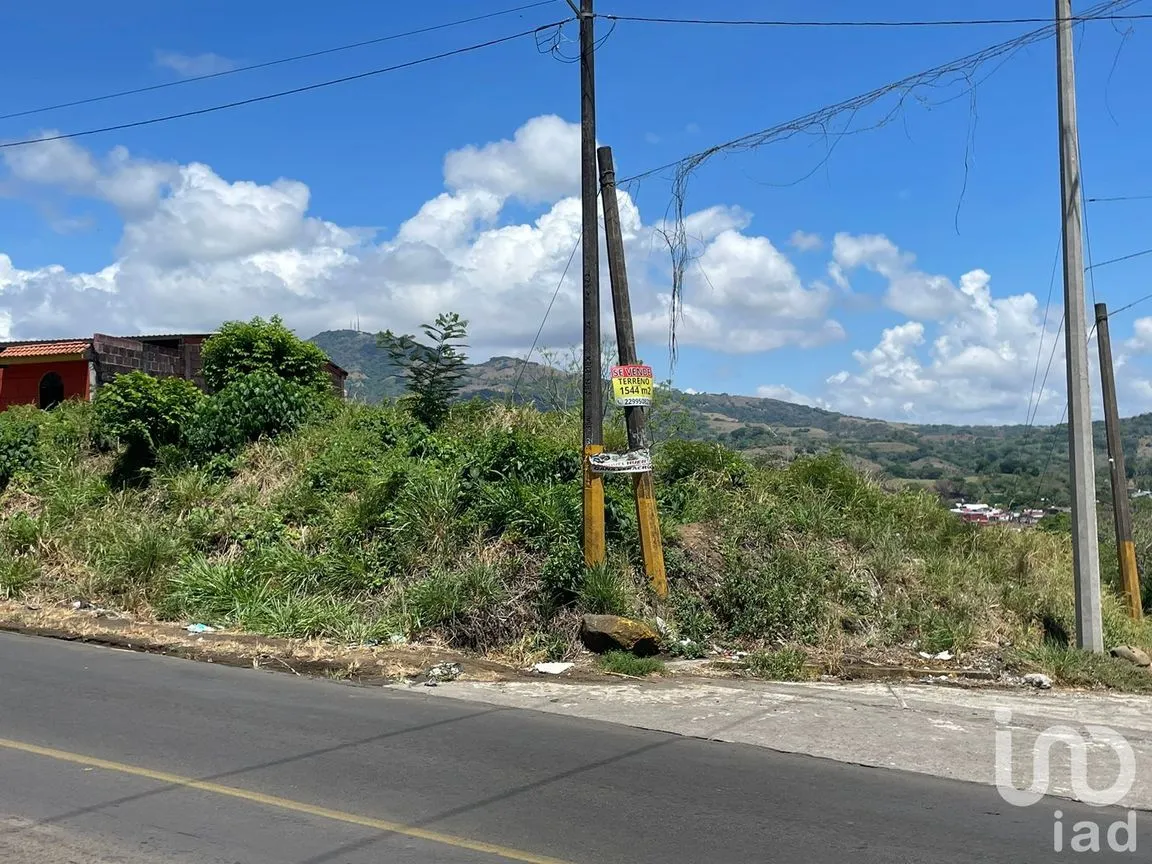 Terreno en Venta en Pénjamo, Santiago Tuxtla, Veracruz de Ignacio de la Llave | NEX-213970 | iad México | Foto 4 de 14