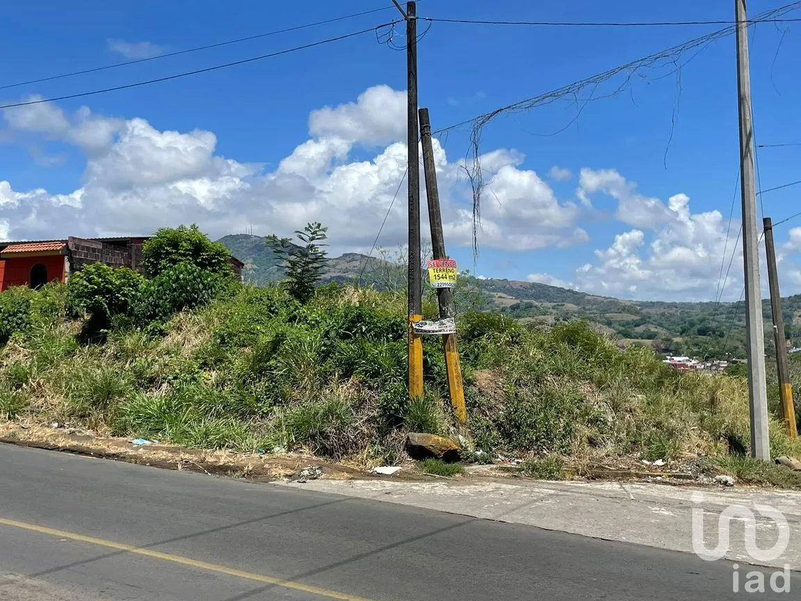 Terreno en Venta en Pénjamo, Santiago Tuxtla, Veracruz de Ignacio de la Llave | NEX-213970 | iad México | Foto 5 de 14