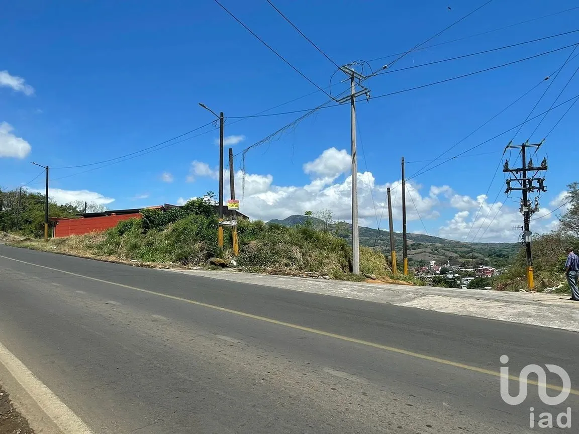 Terreno en Venta en Pénjamo, Santiago Tuxtla, Veracruz de Ignacio de la Llave | NEX-213970 | iad México | Foto 6 de 14
