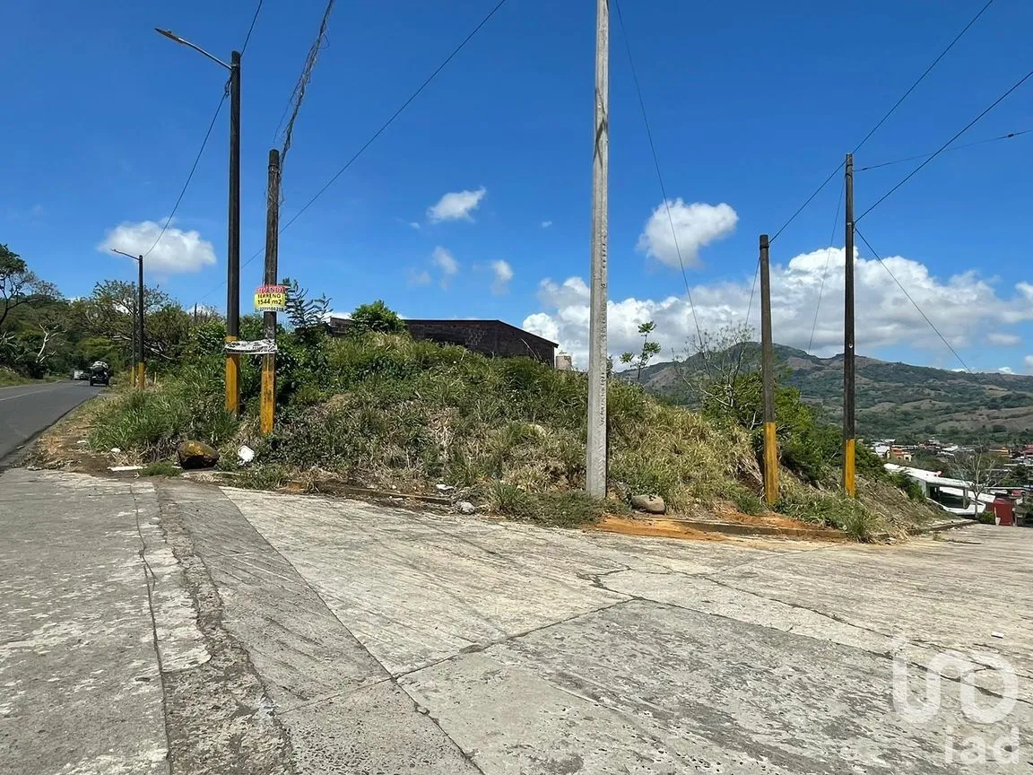 Terreno en Venta en Pénjamo, Santiago Tuxtla, Veracruz de Ignacio de la Llave | NEX-213970 | iad México | Foto 7 de 14