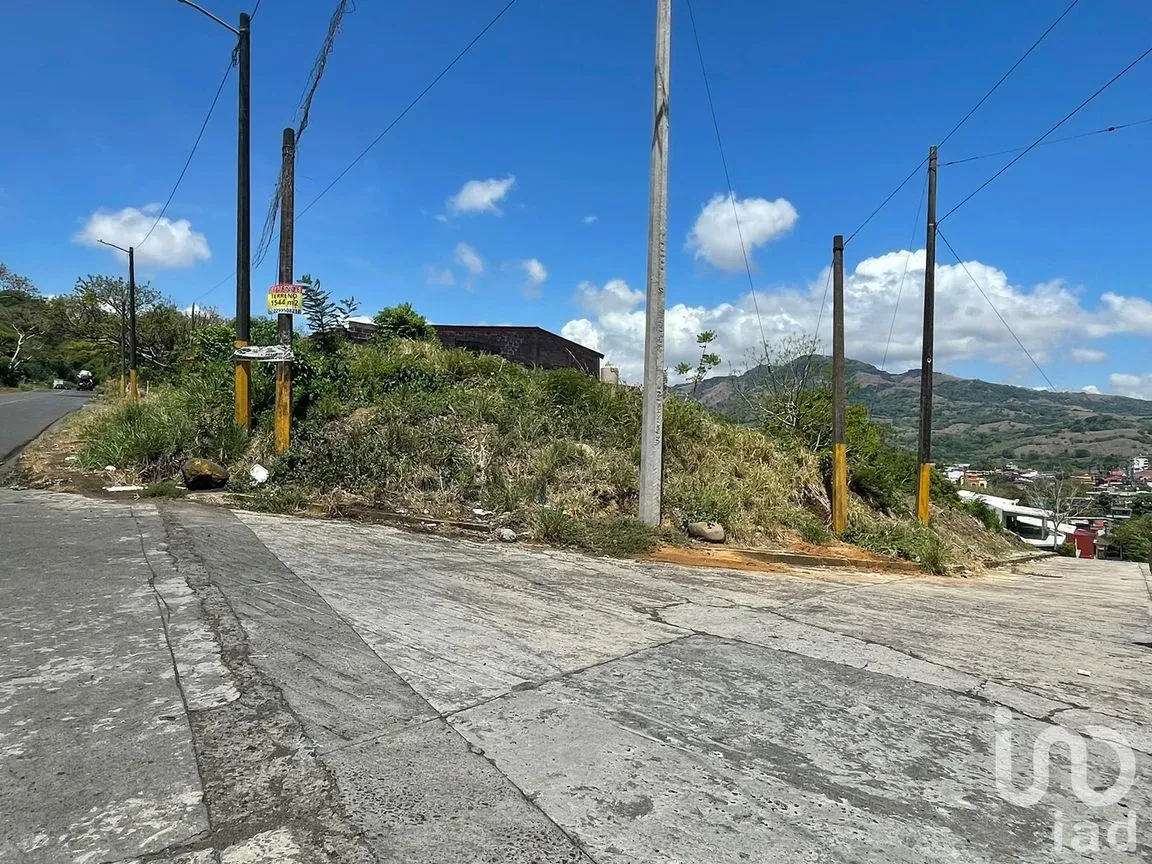 Terreno en Venta en Pénjamo, Santiago Tuxtla, Veracruz de Ignacio de la Llave | NEX-213970 | iad México | Foto 8 de 14