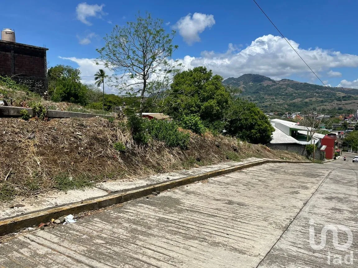 Terreno en Venta en Pénjamo, Santiago Tuxtla, Veracruz de Ignacio de la Llave | NEX-213970 | iad México | Foto 9 de 14
