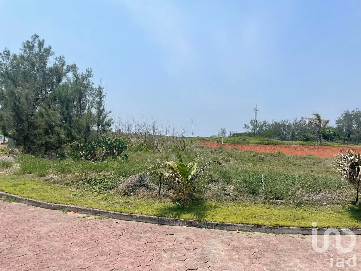 Terreno en Venta en Mandinga y Matoza, Alvarado, Veracruz de Ignacio de la Llave | NEX-219948 | iad México | Foto 6 de 6