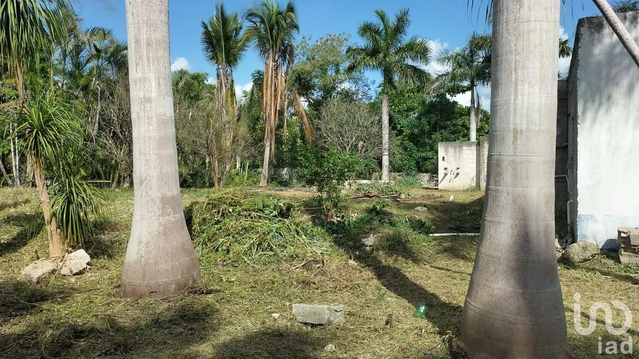 Terreno en Venta en X-Cuyum, Conkal, Yucatán | NEX-236467 | iad México | Foto 2 de 7