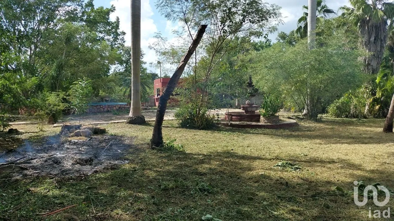 Terreno en Venta en X-Cuyum, Conkal, Yucatán | NEX-236467 | iad México | Foto 3 de 7