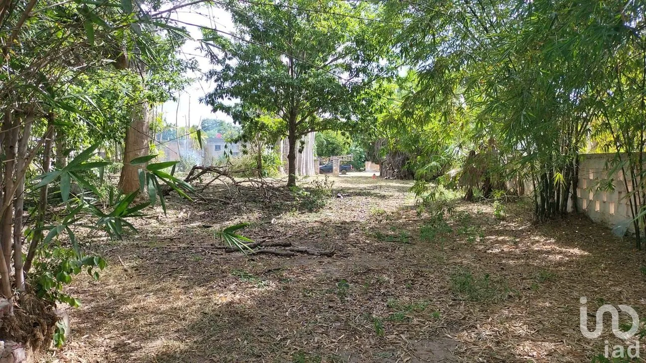 Terreno en Venta en X-Cuyum, Conkal, Yucatán | NEX-236467 | iad México | Foto 4 de 7