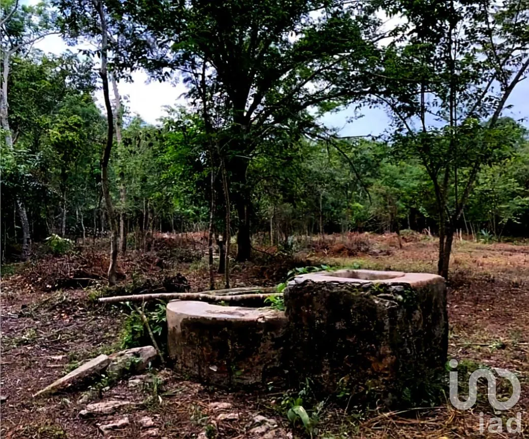 Terreno en Venta en Valladolid Centro, Valladolid, Yucatán | NEX-237984 | iad México | Foto 1 de 3
