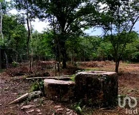 NEX-237984 - Terreno en Venta, con 9 m2 de construcción en Valladolid Centro, CP 97780, Yucatán.