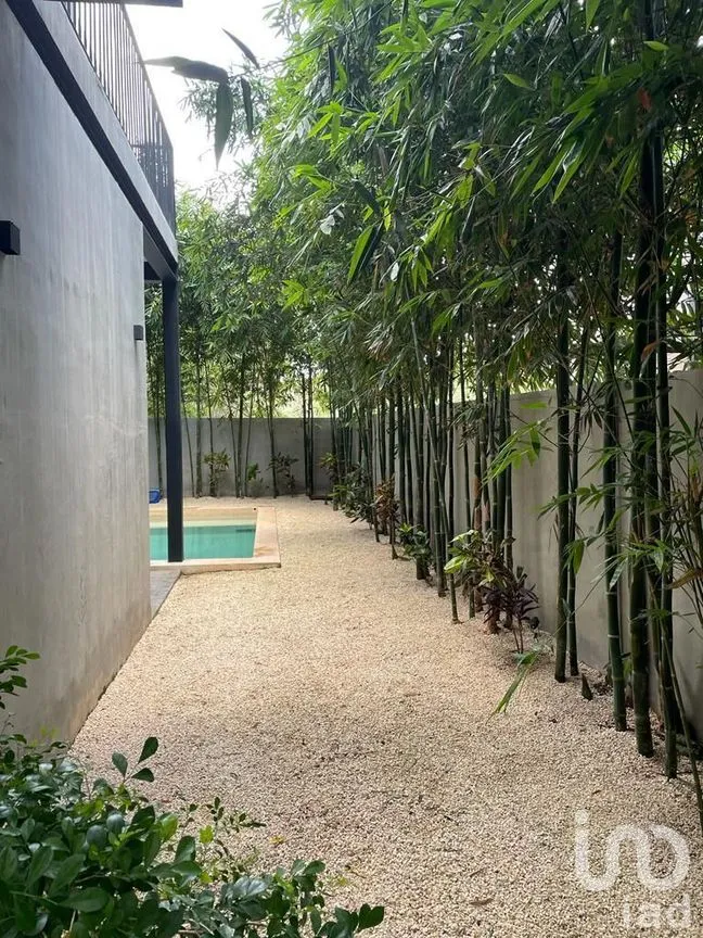 Casa en Venta en Cabo Norte, Mérida, Yucatán | NEX-241069 | iad México | Foto 3 de 21