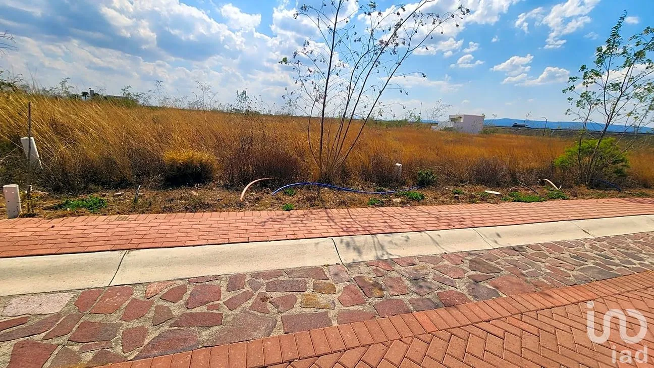 Terreno en Venta en El Sabino, Apaseo el Alto, Guanajuato | NEX-260974 | iad México | Foto 3 de 10