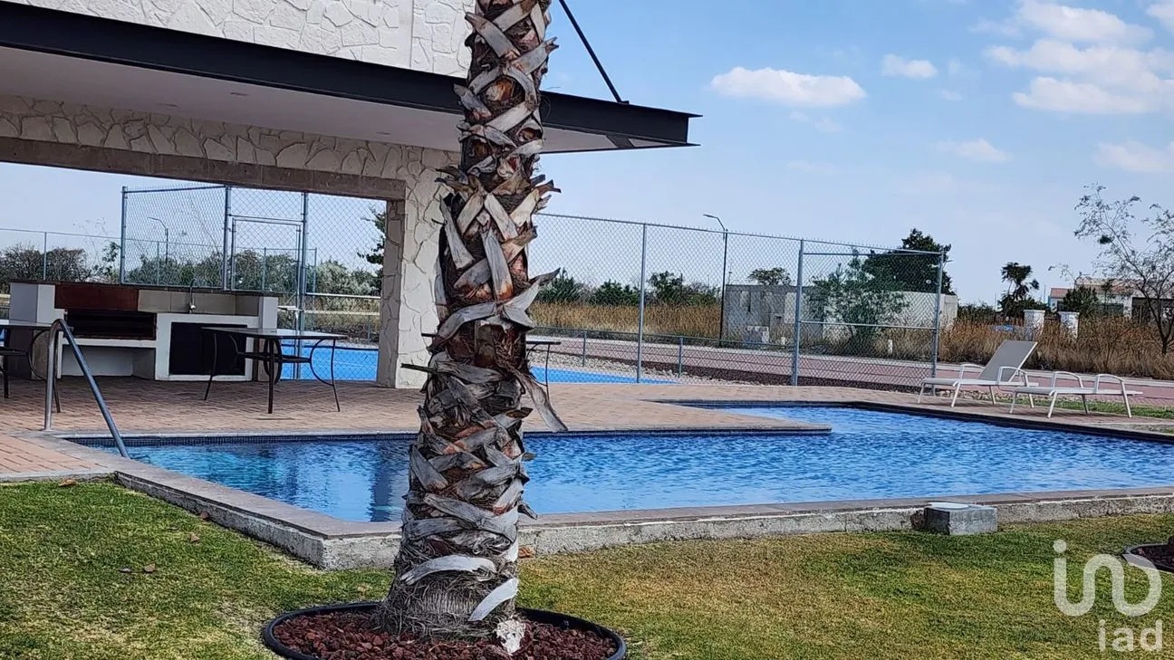 Terreno en Venta en El Sabino, Apaseo el Alto, Guanajuato | NEX-260974 | iad México | Foto 6 de 10