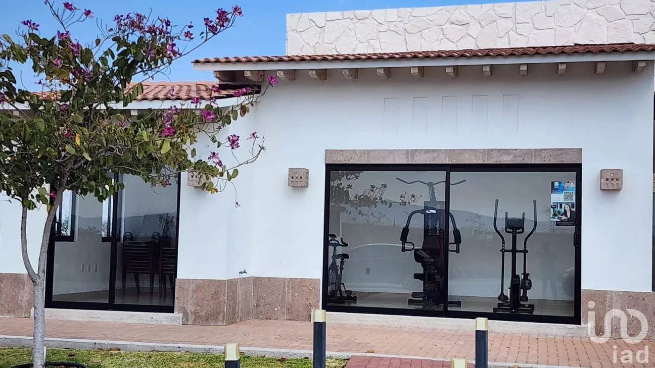 Terreno en Venta en El Sabino, Apaseo el Alto, Guanajuato | NEX-260974 | iad México | Foto 10 de 10